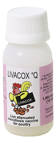 LIVACOX Q