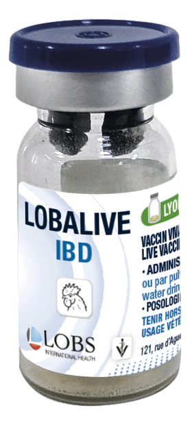 LOBALIVE IBD