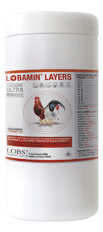 LOBAMIN LAYERS