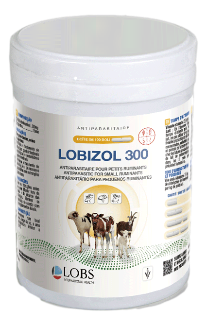 LOBIZOL 300