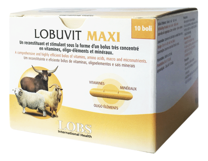 LOBUVIT MAXI