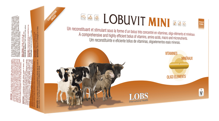 LOBUVIT MINI