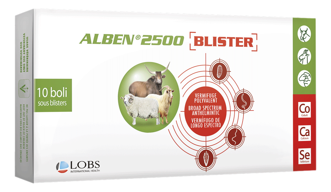 ALBEN 2500 BLISTER